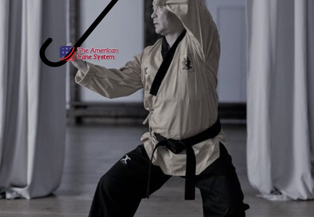 Martial Arts for Seniors